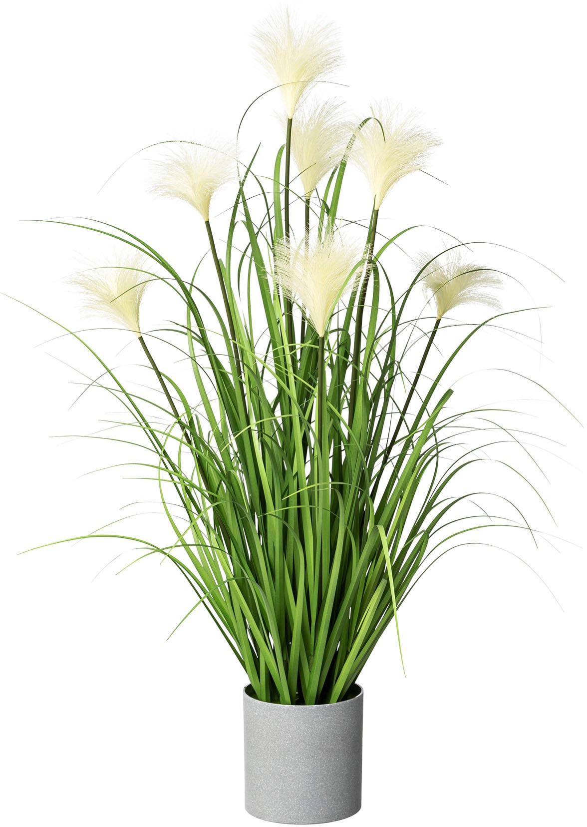 Kunstgras CREATIV GREEN "Riedgras", grün, H:76cm Ø:20cm, Kunststoff, Kunstpflanzen, im grauen Kunststofftopf