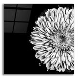 Latitude Run® "Black & White Flower Love II" By Donnie Quillen, Acrylic Glass Wall Art Plastic/Acrylic | 12 H x 12 W x 0.13 D in | Wayfair