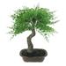 16" Green Mini Maple Artificial Bonsai Tree in a Brown Pot