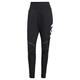 adidas Womens Pants (Technical) Terrex Agravic Hybrid Trail-Running Tracksuit Bottoms, Black, GQ1257, 40