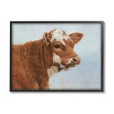 Stupell Industries Brown Dairy Cow Detailed Farm Animal - Floater Frame Painting on Canvas in Blue/Brown | 24 H x 30 W x 1.5 D in | Wayfair