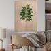 August Grove® Vintage Plant Life XX - Unframed Painting on Wood in Brown/Green | 12 H x 8 W x 1 D in | Wayfair 8686BE26B37143DFBCB30F042C6A02B6
