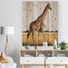 Ebern Designs Single Giraffe In Africa Walking Single Giraffe In Africa Walking - Photograph on Metal in Black/Brown | 32 H x 16 W x 1 D in | Wayfair