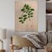 August Grove® Vintage Plant Life XIX - Unframed Graphic Art on Wood Metal in Brown/Green | 32 H x 16 W x 1 D in | Wayfair