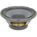 10 in. Pro Mid Bass Speaker