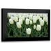 Styber Dana 14x11 Black Modern Framed Museum Art Print Titled - White Tulips I
