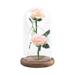 Mortilo Imitation Plants Creative Micro Decorative Holiday Gifts Must-Have Small Table Simulated Micro- Of Glass Cover Dust-Proof Creative Ornament