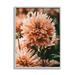 Stupell Industries Wild Pink Dahlias Spring Flowers Closeup Photography Framed Wall Art 24 x 30 Design by Amy Brinkman