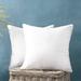 Phantoscope 100% Cotton Stuffer Square Decorative Throw Pillow Insert 16 x 16 2 Pack