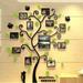 STEADY 3D DIY Photo Frame Tree PVC Wall Decal Family Sticker Mural Art Home Room Decor Mint Green