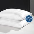downluxe Goose Feather Down Pillow - Set of 2 Bed Pillows for Sleeping with Rayon Derived from Bamboo Shell, Queen Size (20x28)