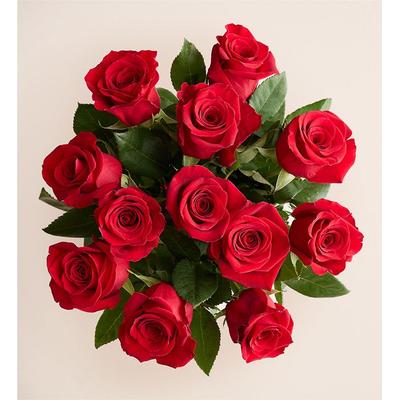 1-800-Flowers Flower Delivery Sorbet Roses 12 Stems, Bouquet Only