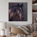 August Grove® Portrait Of A Dark Brown Horse - Traditional Wall Art Panels - Natural Pine in Black/Brown/Gray | 16 H x 16 W x 1 D in | Wayfair