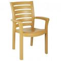 Marina Resin Dining Arm Chair Teak Brown - set of 2