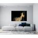 Artful Printers White Stallion Horse Sunset - Unframed Photograph Metal in Black/White | 30 H x 40 W x 1 D in | Wayfair AC-30403611