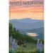 White Mountains New Hampshire Bear and Cubs with Flowers (12x18 Wall Art Poster Room Decor)