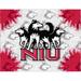 Northern Illinois Huskies HBS Gray Red Wall Canvas Art Picture Print (15 x20 )