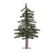 Vickerman 05494 - 2' x 16.5" Artificial Natural Alpine 35 Clear Lights Christmas Tree (A805121)