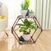 Arlmont & Co. 2 Tiers Hexagonal Plant Stand Indoor Outdoor, 2 Tiers Large en Sturdy Creative DIY Plant Shelf Holder Rack For Window, Corner | Wayfair