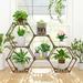 Arlmont & Co. 7 Tiers Hexagonal Plant Stand, Indoor Outdoor Plant Shelf | 38 H x 55 W x 10 D in | Wayfair 505CA703338840B89FF6954105014BB2