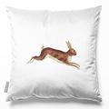 Izabela Peters Cushions With Covers Included, Filled Cushion, Eco-Friendly Velvet Cushions, 60 cm, Hare - White, Chair Cushions, Sofa Cushions, Seat Cushions, Large Cushions