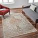 Aman 7'10" x 10'2" Traditional Light Sage/Tan/Mustard/Brick Red/Sage/Dark Blue/Olive/Burgundy Area Rug - Hauteloom