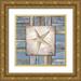 Medley Elizabeth 20x20 Gold Ornate Wood Framed with Double Matting Museum Art Print Titled - Beach Shell IV