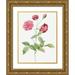 Redoute Pierre Joseph 19x24 Gold Ornate Wood Framed with Double Matting Museum Art Print Titled - China Rose Bengal Animating Rosa indica dichotoma
