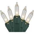 J Hofert Clear 50-Bulb Mini Incandescent String Light Set with Green Wire