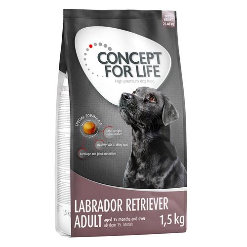 4x1,5kg Labrador Retriever Adult Concept for Life Hundefutter trocken