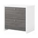 Bush Business Furniture Echo 2 Drawer Lateral File Cabinet Pure White/Modern Gray (KI60502-03)