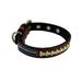 Denver Football Broncos Classic Stitched Football Leather - Dog Collar - Small