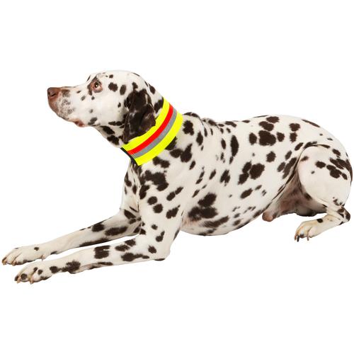 "HEIM Hunde-Halsband ""Signalhalsband"" Tier-Halsbänder Gr. 39 cm - 40 cm, gelb (gelb, rot) Hundehalsbänder"