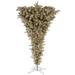 Vickerman 18520 - 7.5' x 60" Champagne Upside Down 500 Clear Lights Christmas Tree (A107776)