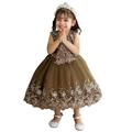 Little & Toddler Floral Embroidered Lace Girls Party Dress Q510 Sizes 2-5