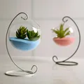 Vase à Boules en Verre Créatif pour Décoration de Jardin Pot de Fleurs Terrarium Conteneur pour
