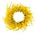 Yellow Forsythia Wreath - 24-Inch Artificial Spring Wreath for Home Decor by Pure Garden