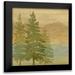 Coulter Cynthia 20x20 Black Modern Framed Museum Art Print Titled - At the Lake Pine Trees I