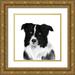 Popp Grace 20x20 Gold Ornate Wood Framed with Double Matting Museum Art Print Titled - Border Collie II