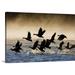 Great BIG Canvas | Canada Geese take flight on a misty winter morning Lynn Canal Southeast Alaska Winter Canvas Wall Art - 24x16