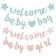 Fournitures de décoration pour fête préChristophe thème Oh Baby Welcome Baby Boy pour révéler le