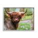 Stupell Industries Highland Cattle Peering Between Trees Lush Nature Scene Photograph Gray Framed Art Print Wall Art Design by James Dobson