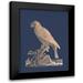 Edwards 11x14 Black Modern Framed Museum Art Print Titled - Rose Gold Foil Parrot II on Imperial Blue