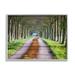 Stupell Industries Aligned Trees Along Orchard Path Nature Tunnel Photograph Gray Framed Art Print Wall Art Design by James Dobson