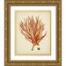 Vision Studio 20x24 Gold Ornate Wood Framed with Double Matting Museum Art Print Titled - Antique Red Coral IV