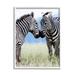 Stupell Industries Heartwarming Zebras Kissing in Field Animal Wildlife Photograph White Framed Art Print Wall Art Design by Danita Delimont