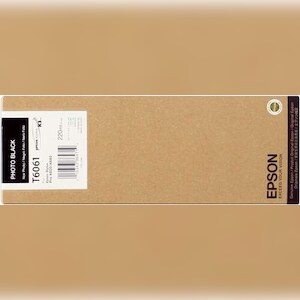 Epson Singlepack Photo Black T606100, 220 ml Image