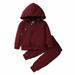 Baby Boys Girls 2 Piece Set Infant Toddler Baby Boys Girls Sweater Set Solid Color Hooded Top Long Sleeve Top Trousers Two Piece Set