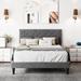 Lark Manor™ Aleiny Velvet Bed w/ Adjustable Headboard Upholstered/Velvet in Gray | 49.2 H x 62 W x 81.3 D in | Wayfair