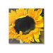 Stupell Industries Bold Yellow Summertime Sunflower Close Up Blossom Graphic Art Gallery Wrapped Canvas Print Wall Art Design by unknown